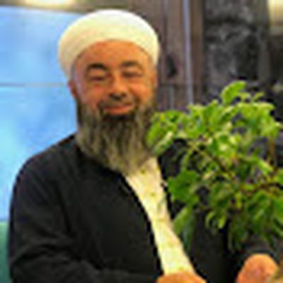 FM TV