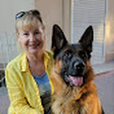 Канал о собаках NG Dog Breeds 