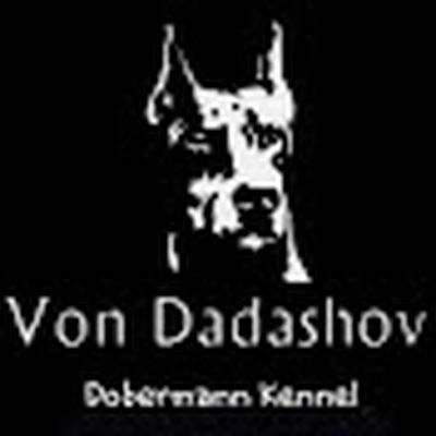 Von Dadashov Doberman Channel