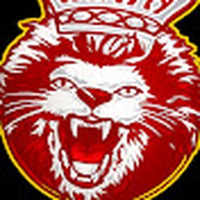 Ultras Leones Rey mco 