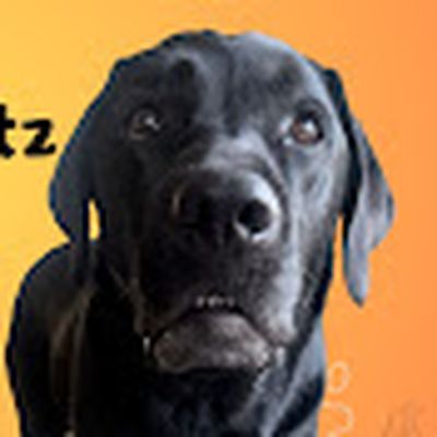elvisbatzthelab