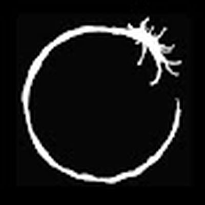 Майзенберг