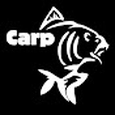 Carp