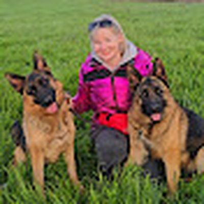 German Shepherd and Dog breeds