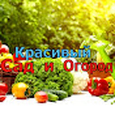 КРАСИВЫЙ САД и ОГОРОД