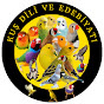 Kuş Dili Ve Edebiyatı ®