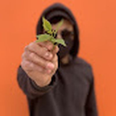 Человек в маске