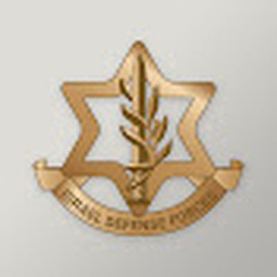Israel Defense Forces