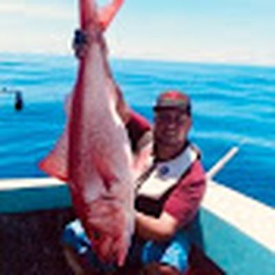 Pesca Profunda