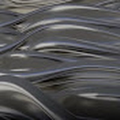 호정 HOJUNG [????????]