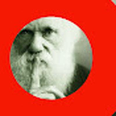 Leadership and Confidence.