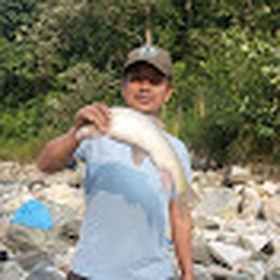 purja cm