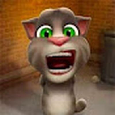 Videos Divertidos Talking Tom