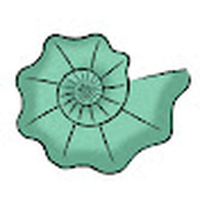 Simplex Paléo