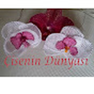 Çisenin Dünyası