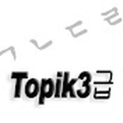Topik 3급.