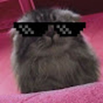 Grey Cat Diaries