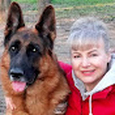 Planet Dogs Планета Собак