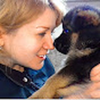 Dog breeds Породы собак