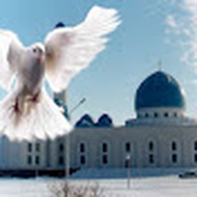 Бек РАУАН Com