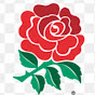 ROBERTO BRUGMANN PAGINA OFICIAL