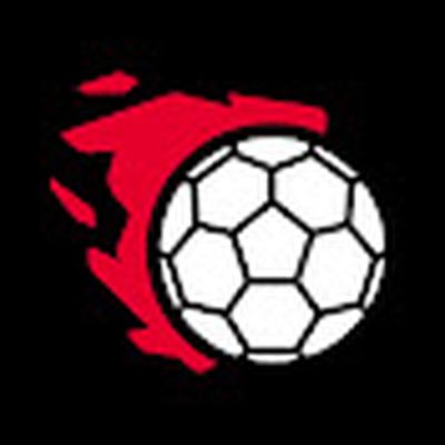 ФУТБОЛ ЖОЛЫ