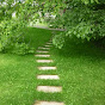 Ландшафтный дизайн