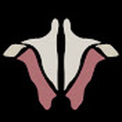 Institute of Human Anatomy