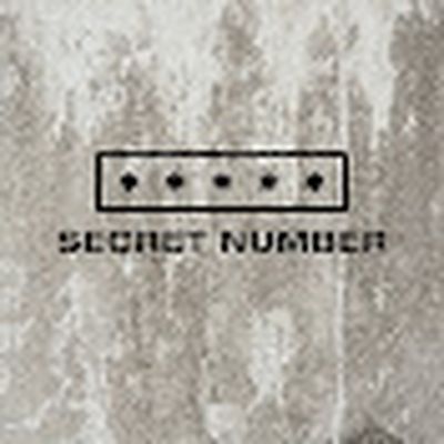 SECRET NUMBER