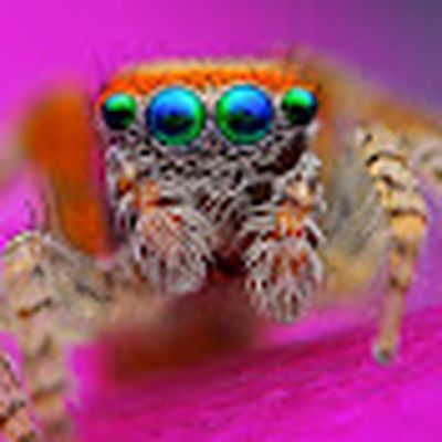 The Nature of Science