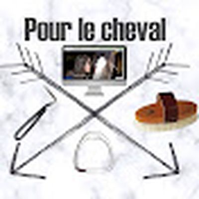 Pour le cheval-Julie, Pégaze et Rubel.