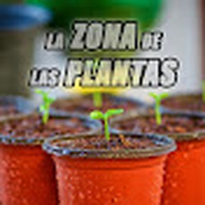 La zona de las plantas