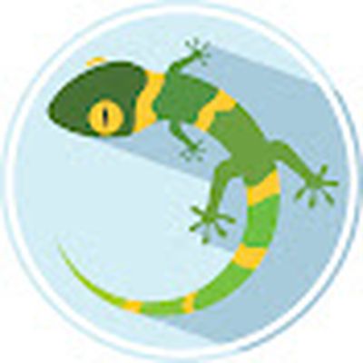 Green Gecko Lego Technic Workshop