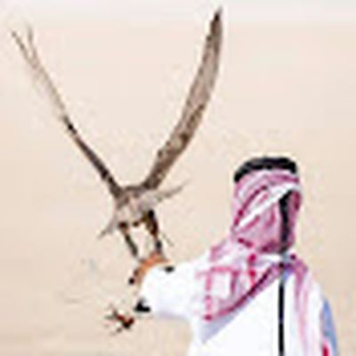 استكنان [FM]