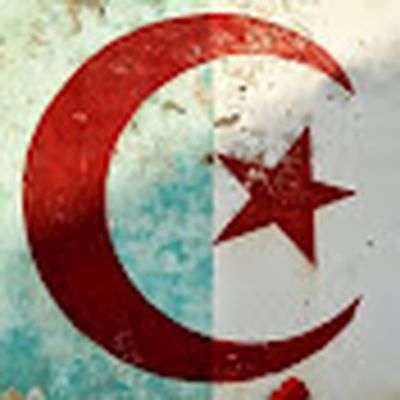 The Algerian Channel