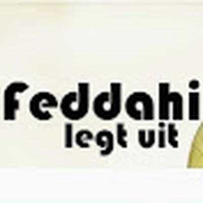 M. Feddahi