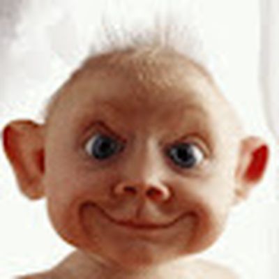 Adrian EN