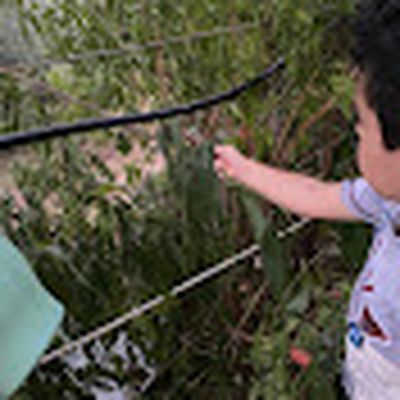 عُمر يتعلّم