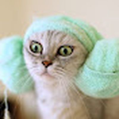 На кухне с СераФимой. مطبخ سيرا فيما