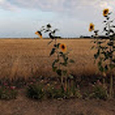 من ضياء القُران