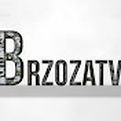 Brzoza TV
