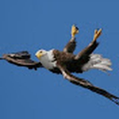 Atalayas del Dios Viviente_Cobija_Bolivia