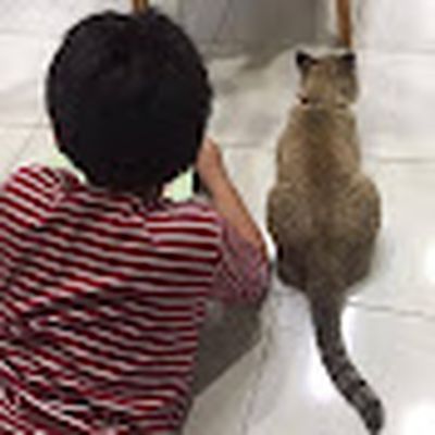 รูนเมืองตรัง