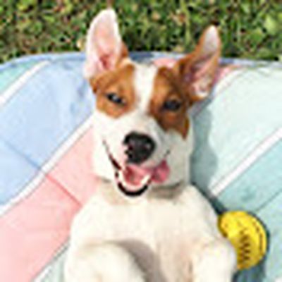 ЛОКИ БОБО (LUCKY)